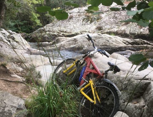 Dusting off the old bike